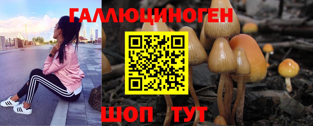 Галлюциногенные грибы GOLDEN TEACHER  Вход с VPN  Саров  Псилоцибиновые грибы мухоморы 