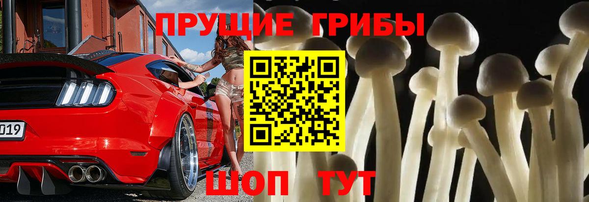 Галлюциногенные грибы Psilocybe Саров